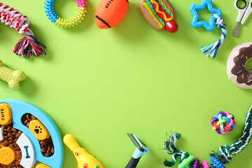 Colorful assortment of dog toys and grooming accessories on green backdrop. Perfect for pet-themed...
