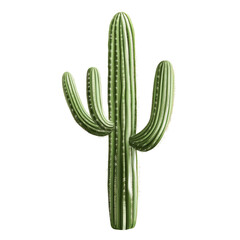 Green saguaro cactus illustration