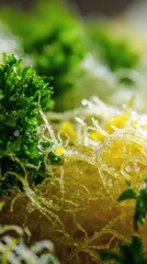 Irish moss salad with lemon, parsley, and sea salt.