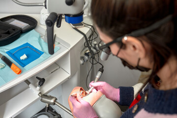 Female dentist learning to treat teeth on human head mannequin. Medical student in protective mask...