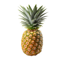 Fototapeta premium Whole Pineapple with Spiky Green Crown and Rough Textured Skin – Exotic Tropical Fruit Isolated on a Transparent Background