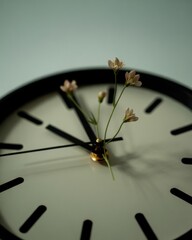 Clock with delicate flowers growing from the center adds a charming touch to interior decor