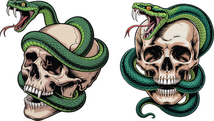 Two detailed illustrations of a green snake coiled around a human skull