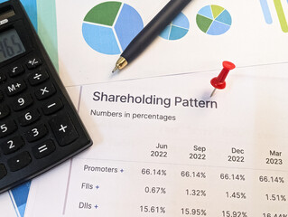 shareholding pattern