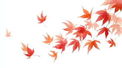Watercolor illustration of red and orange Japanese maple leaves blowing in the wind on a white background