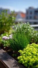 Lush rooftop garden with vibrant greenery in urban setting.