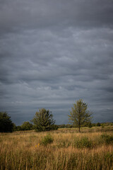 storm clouds over the field