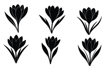 Elegant Crocus Flower Silhouettes A Collection of Spring Bloom Illustrations