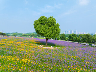 Wuhan Hua Bo Hui Scenic Spot Spring Scenery