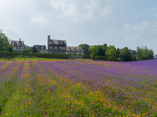 Wuhan Hua Bo Hui Scenic Spot Spring Scenery