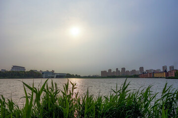 Cities and urban parks, rivers, early morning sunrise, skyline