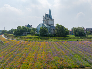 Wuhan Hua Bo Hui Scenic Spot Spring Scenery