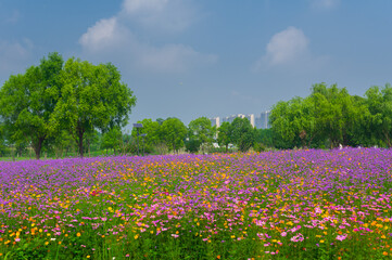Wuhan Hua Bo Hui Scenic Spot Spring Scenery