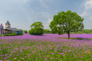 Wuhan Hua Bo Hui Scenic Spot Spring Scenery