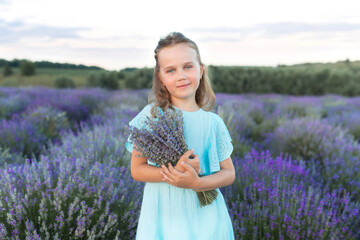 Beautiful small girl in blue dress collects lavender on lavender field. Portrait cute child girl holding lavender bouquet and stands in the middle of lavender bushes. Provence	
