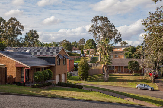 Houses, gumtrees and streets in a town