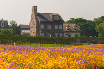 Wuhan Hua Bo Hui Scenic Spot Spring Scenery