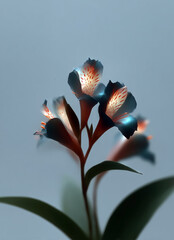 Artistic close-up of glowing flowers with dramatic lighting on blue background, abstract botanical art
