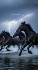 Obraz premium Close-up of wild horses crossing a river during a stormy weather. 