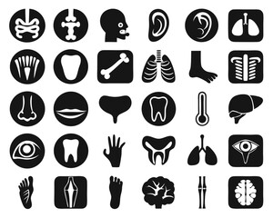 Comprehensive collection of human body anatomy glyphs and pictograms featuring detailed representations of internal and external biological structures for diverse medical and educational applications