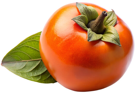 Texas Persimmon Berry generative ai