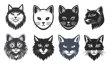 Fototapeta premium black and white cats