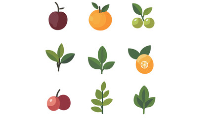 Minimalist olive icon vector illustration featuring a clean and stylized olive fruit with leaf, ideal for food, Mediterranean cuisine, organic product labels, and botanical themes in modern flat 
