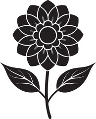 Fototapeta premium Black flower detailed petals leaves blooming stem