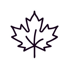 Outline of a maple leaf in minimal style for seasonal themes  