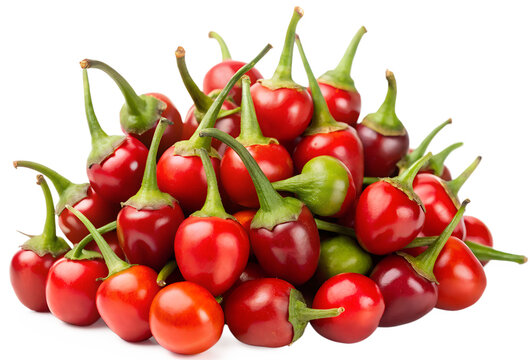 Chiltepin (small berry-type chili) generative ai