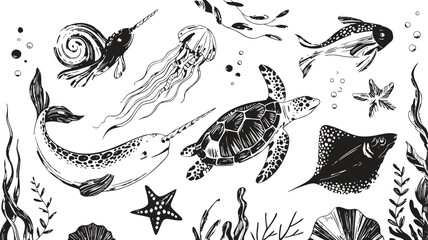 Obraz premium Black and White Sea Creatures Narwhal, Turtle, Jellyfish, Stingray, Starfish, Fish, Shells and Seaweed