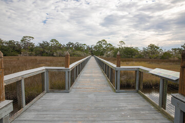 Fototapeta premium A boardwalk over the salt marsh at Fort Mose Historic State Park