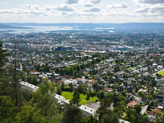 Mountain forest with panoramic view of a distant city below. Natural landscape with trees, elevation, and urban skyline in the background. Ideal for nature, travel, landscape, and environment themes.