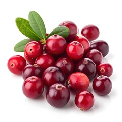 red currant isolated on white background