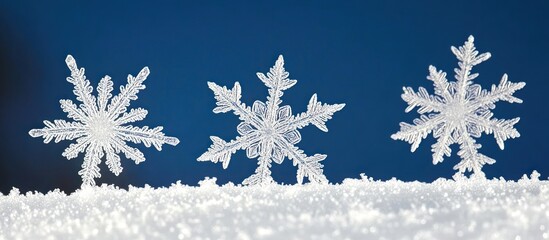 Charming macro image displaying three intricate snowflakes on a snowy surface