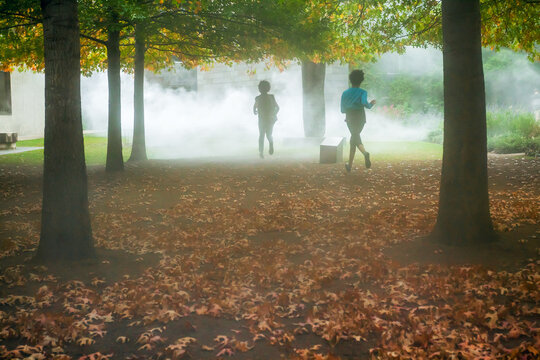 Children running into fog in a forest.