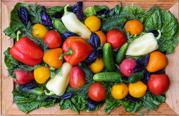 Colorful vegetables on a wooden board - a healthy summer harvest