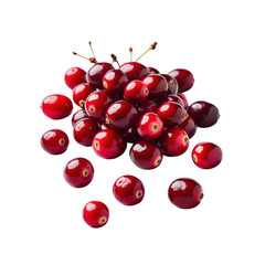 Fresh Cranberries Pile Isolated on Transparent Background