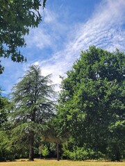 Chilling in the park 