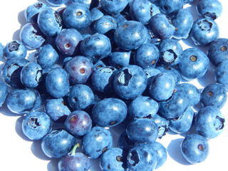 Blueberry background. Fresh ripe blueberries close-up texture