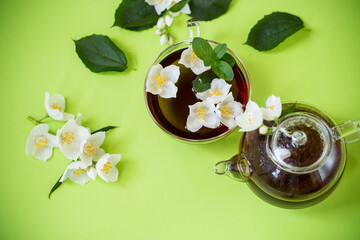 Fragrant jasmine tea in a glass container on a green background