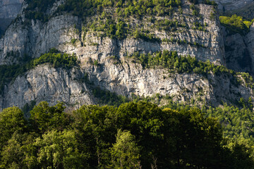 Switzerland, Swiss Alps, Canton St. Gallen, Churfirsten Group, mountain massif at Frümsel, summer....