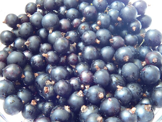Blackcurrant berries close-up. Fresh black currants on rustic table
