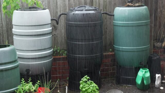 Three rain barrels in garden capture rainwater during heavy rain for eco-friendly irrigation of plants. Water harvesting.