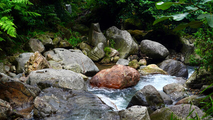 The cool, clear current tumbles over stone layers in a forest stream, illustrating freshness and...
