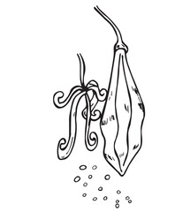 Cute cartoon hand drawn vector sponge gourd and flower outline.