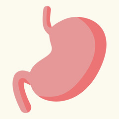 Flat vector illustration of human stomach for anatomy and education
