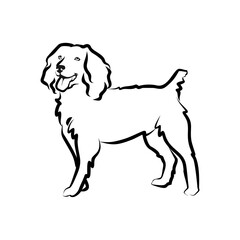 Elegant Line Art Drawing of a Happy Dog Canine Illustration