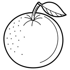 Citrus Fruit Outline Vector