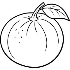 Citrus Fruit Outline Vector